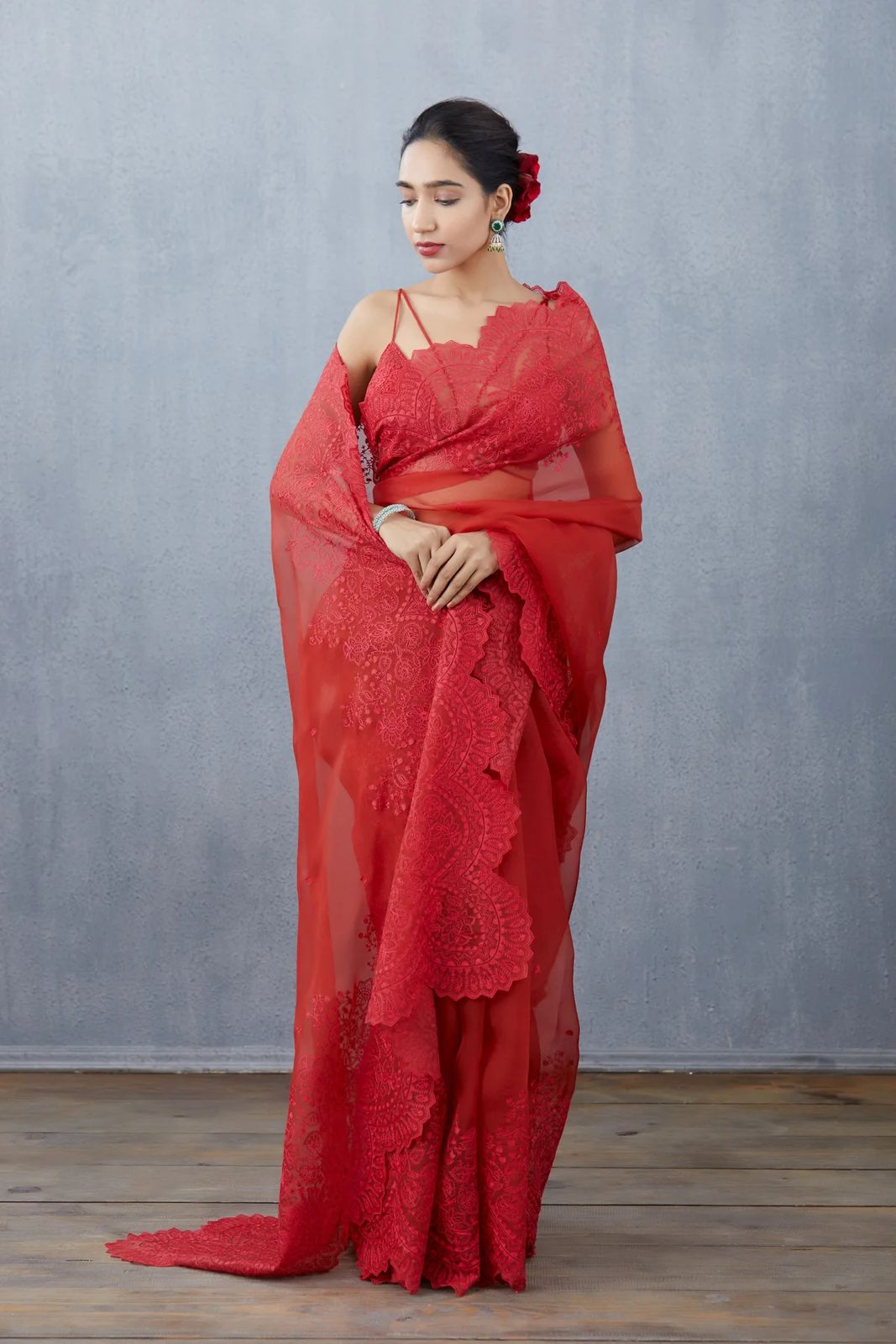 Banarasi pure organza chikankari embroidery silk sarees